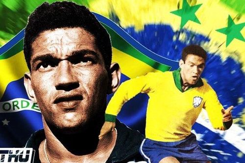 Garrincha: Túc cầu đệ nhất Phản anh hùng
