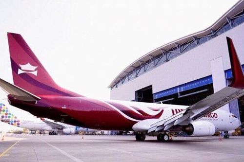 IPP Air Cargo bất ngờ xin dừng cấp phép bay