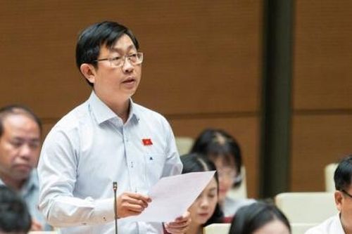 Đại biểu đề nghị đánh thuế cao đối với đất hoang hóa