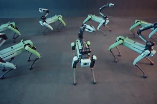 Kinh ngạc chó robot khoe vũ đạo trên nền nhạc K-pop