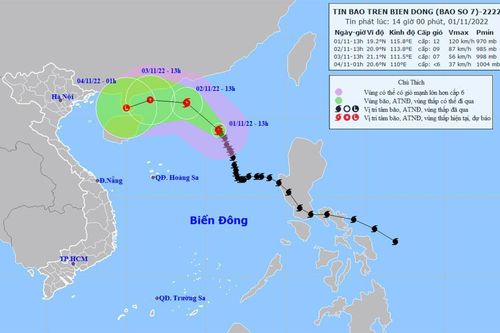Bão số 7 giật cấp 14, sóng biển cao 9-11m, biển động dữ dội