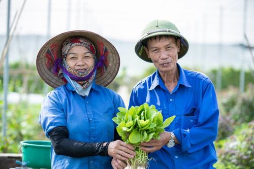 Cách lựa chọn được đúng thực phẩm sạch