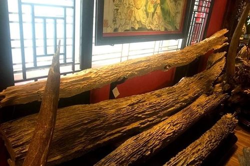 Sửng sốt những khối trầm hương tiền tỷ của đại gia Việt