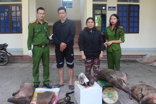 Bắt 2 đối tượng tại Con Cuông, thu giữ nhiều động vật hoang dã