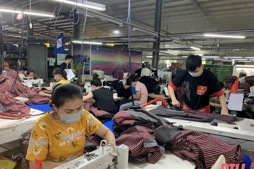 Tổng thu ngân sách nhà nước trên địa bàn huyện Nông Cống đạt 563,8 tỷ đồng