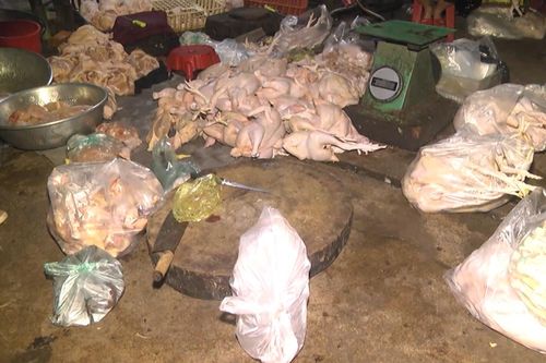 170 ký thịt gà, vịt giết mổ dưới nền nhà dơ dáy