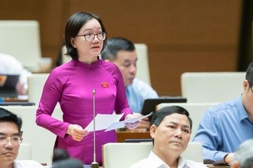 Giám sát chặt chẽ dòng tiền tham gia đấu giá