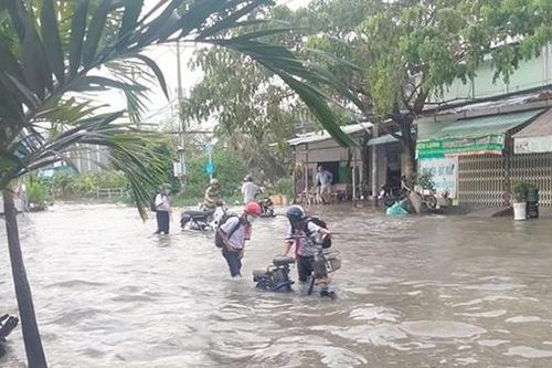 Thành phố… mùa triều dâng