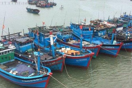 Quảng Trị bảo đảm an toàn cho ngư dân vươn khơi trong mùa mưa bão