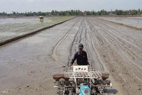 ĐBSCL chuẩn bị cho vụ lúa đông xuân