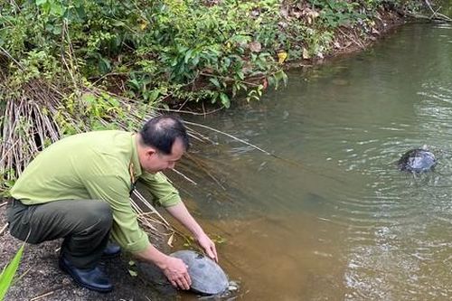 Bình Phước: Thả 112 thú hoang dã quý hiếm về Vườn quốc gia Bù Gia Mập