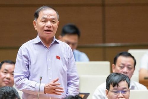 Cần thúc đẩy quá trình chuyển đổi Quốc hội từ tham luận sang tranh luận
