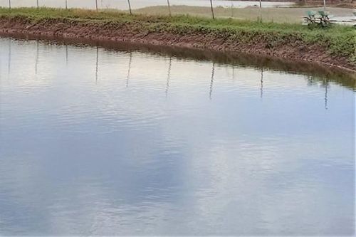 Điều tra nguyên nhân vụ hai người chết ở Sóc Trăng