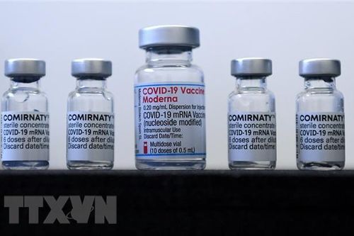 Australia đẩy mạnh phát triển vaccine công nghệ mRNA thế hệ tiếp theo