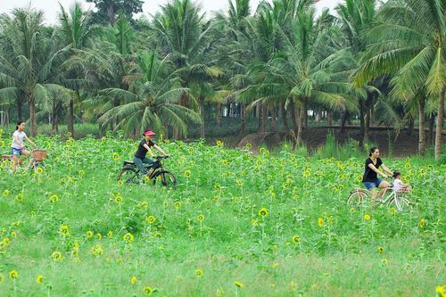 Khu đô thị Ecopark và hành trình bền bỉ kiến tạo 'gia tài' xúc cảm