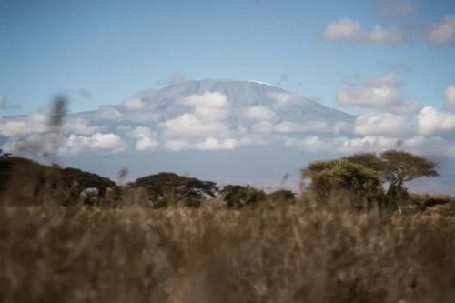 Tanzania huy động quân đội đến dập tắt đám cháy trên núi Kilimanjaro