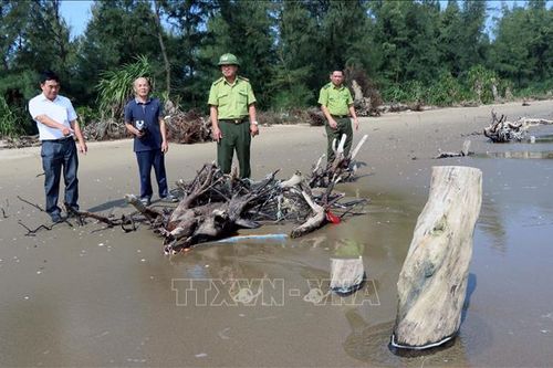 Sớm có giải pháp khắc phục tình trạng biển xâm thực ở Hà Tĩnh