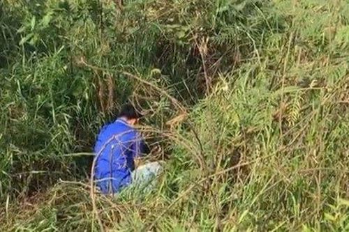 Người phụ nữ chết bất thường trong bụi cỏ khi đi hái lá muồng