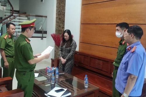 Chiếm đoạt hàng chục tỷ đồng bằng 'miếng mồi' túi xách nhập ngoại, giá rẻ
