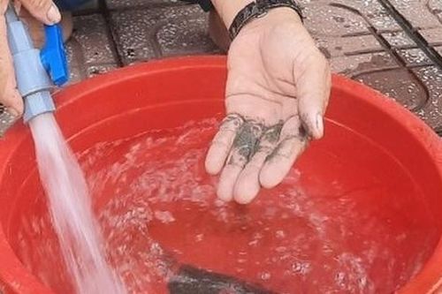 Cà Mau: Nước sạch tại Khu Đô thị mới Hoàng Tâm bị lẫn cát, bốc mùi khó chịu