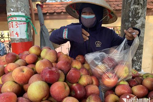 Giật mình với giá táo Trung Quốc ở chợ đầu mối
