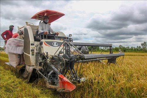 Việt Nam luôn coi trọng đảm bảo an ninh lương thực