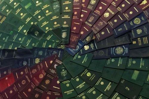 Vì sao tất cả hộ chiếu trên thế giới chỉ có 4 màu chủ đạo?