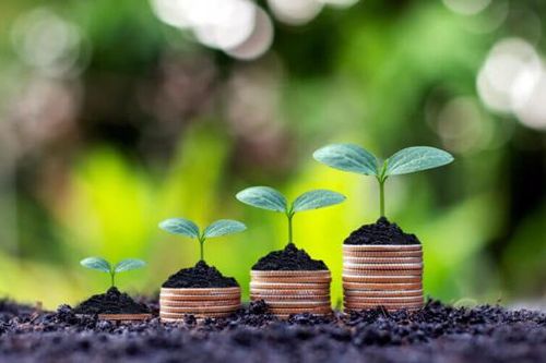 Chính phủ là chìa khóa thúc đẩy nền kinh tế xanh cho hệ sinh thái fintech châu Á