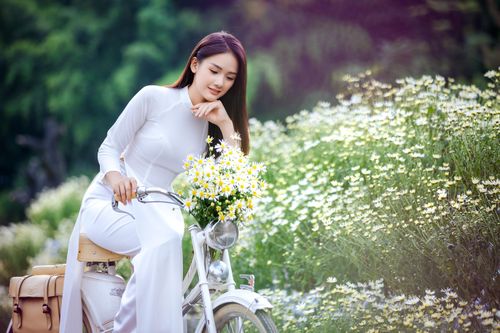 Thiếu nữ Hà thành khoe dáng bên cánh đồng cúc họa mi nở rộ