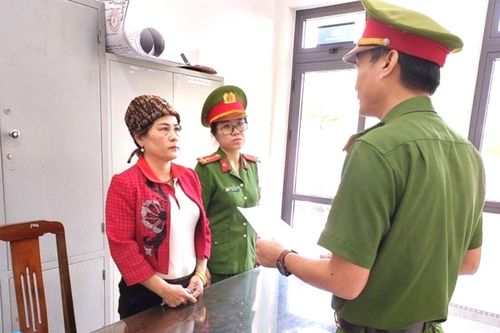 Bắt 'nữ quái' lừa bán hàng nghìn m2 đất rừng để chiếm đoạt tiền