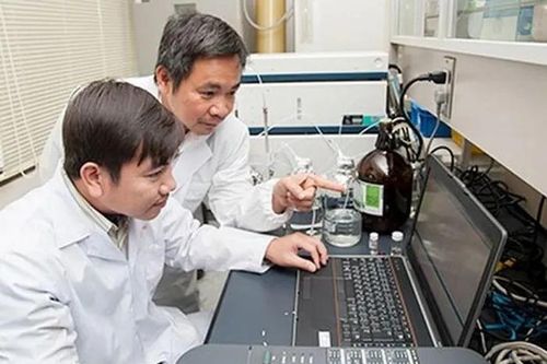 Nhà khoa học Việt Nam tìm ra chất ức chế ung thư từ gạo