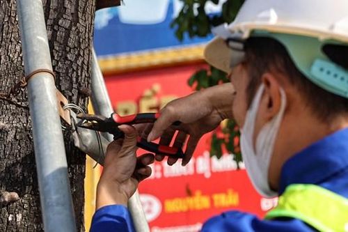 Hà Nội: Cận cảnh nới gông sắt cho 600 cây xanh