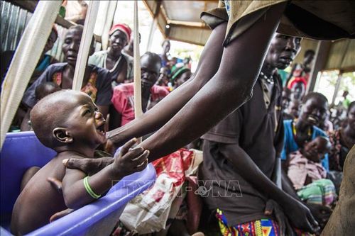 LHQ: Khoảng 8 triệu người có nguy cơ chết đói ở Nam Sudan