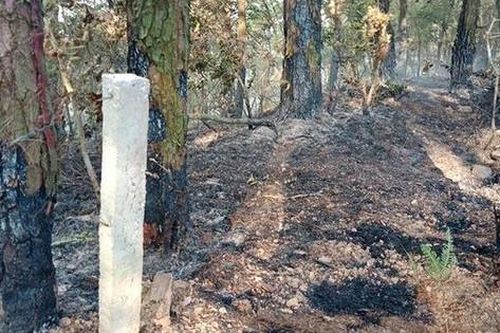 Hà Nội điều tra nguyên nhân cháy rừng tại Sóc Sơn