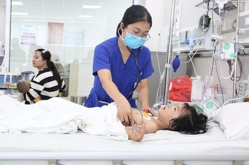 Cấp cứu nhiều trẻ bị ong đốt nguy kịch
