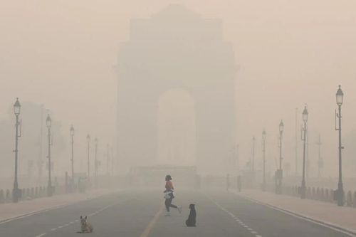 Trường học tại Ấn Độ đóng cửa vì ô nhiễm không khí