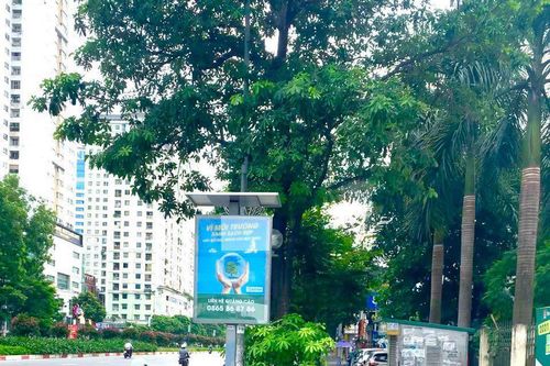 Hà Nội: Văn hóa bỏ rác vào thùng bị lãng quên đang dần trở lại