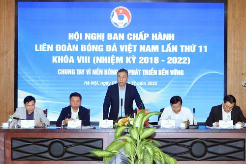 Mỗi CLB V.League sẽ được đăng ký 1 cầu thủ nước ngoài gốc Việt