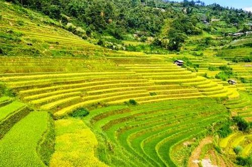 Du lịch đang phục hồi nên càng phải đặt chất lượng lên đầu
