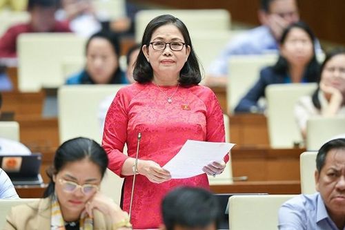 Đại biểu QH: Thanh tra, kiểm tra quá nhiều... mỗi ngày có 608 cuộc
