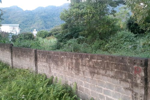 Điện Biên, nghi vấn làm giả hồ sơ chuyển hóa đất cho em ruột