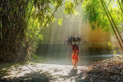 Người không lo xa, ắt có mối họa gần