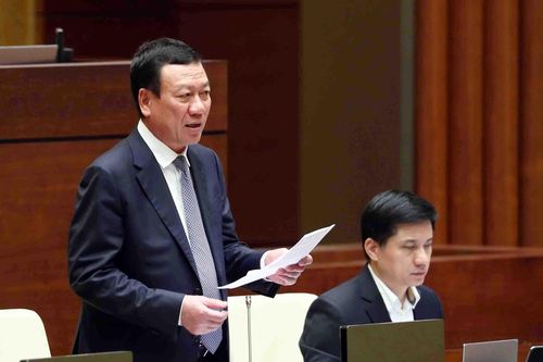 'Tổng Thanh tra Chính phủ trả lời bao quát, đề xuất nhiều giải pháp'