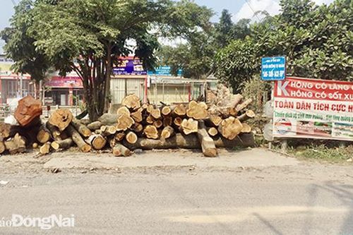 Xử lý nghiêm vi phạm hành lang an toàn đường sắt
