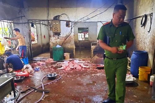 Buộc chủ 2 cơ sở tiêu hủy hơn 330kg thịt vì giết mổ heo trái phép