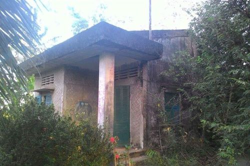 Rắn lục