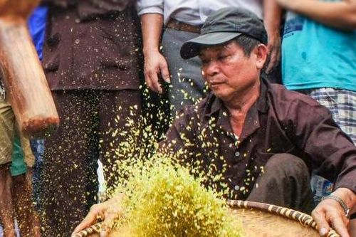 Cốm làng Vòng