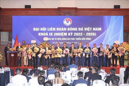 Chung tay vì nền bóng đá Việt Nam phát triển bền vững