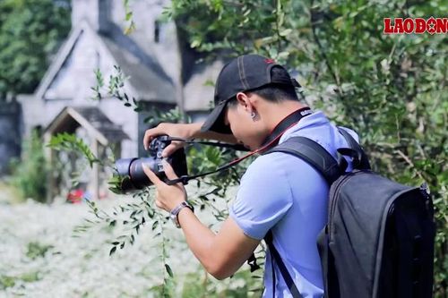 Hà Nội: Thợ ảnh kiếm chục triệu mỗi ngày mùa cúc họa mi