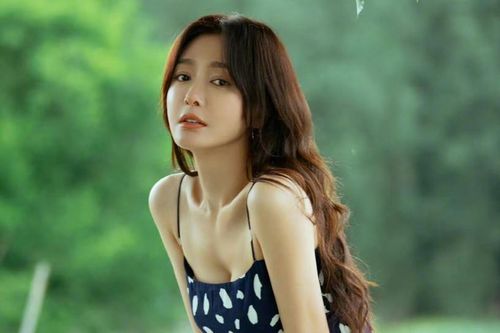Lý do Tần Lam chưa kết hôn ở tuổi 43